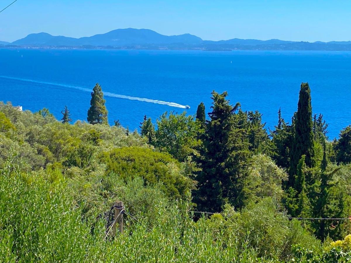 Villa Aliki Nissaki With Private Pool By Dadovillas Nisaki  Exterior photo
